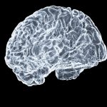 The Psychology of Scalping: How Your Brain Reacts to Split-Second Trading Decisions — Photo by Shawn Day on Unsplash